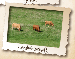 Landwirtschaft