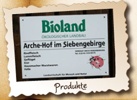 Produkte